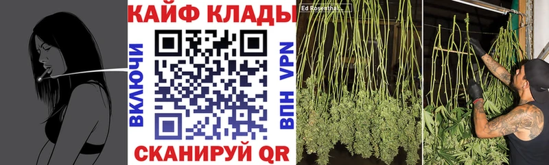 Купить закладку ГАШ  Cocaine  А ПВП  Меф  Новоузенск