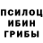 Галлюциногенные грибы ЛСД eFatih,Samba samba